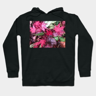 Rainy Red and Green Christmas Leaves on the Forest Floor Hoodie